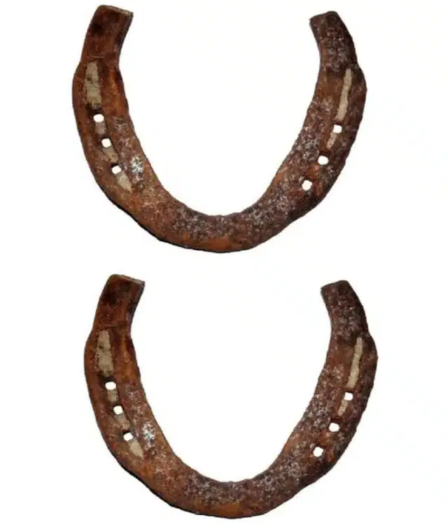Horse Shoe (Pack of 2, Brown)