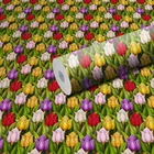 PVC Self Adhesive Wall Stickers 