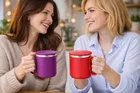 Stainless Steel Coffe Mug, Multicolour, Pack of 2 