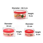 DREAM HOME Max Fresh Container Set 