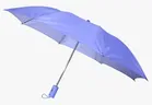 CITIZEN 2 Fold Umbrella [21 Inch, Purple]