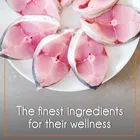 Purepet Mackerel Adult Cat Food, 1 kg