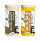 Park Daniel 100% Pure & Natural Bhringraj Powder & Amba Haldi Powder 
