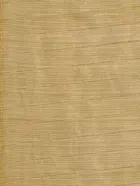 SVB भागलपुरी साड़ी फॉर विमेंस 