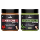 Natural Hibiscus & Curry Leaf Powder for Skin & Hair 