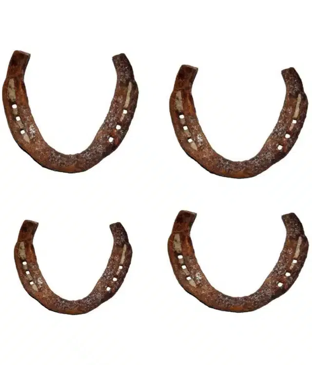 Horse Shoe (Pack of 4, Brown)