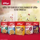 Kellogg'S नट डिलाइट मूसली 500 g 