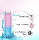 Stainless Steel Water Bottles 