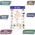 Bookford Publications My small chart Alphabet, My Body & Colors 