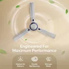 Longway Starlite-1 P1 1200 mm 3 Blade Ceiling Fan  