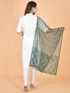 Net Self-Design Dupatta for Women 