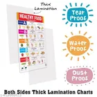 Bookford Publications Both Sides Big Laminated Charts – Healthy Food & Wild Animals 