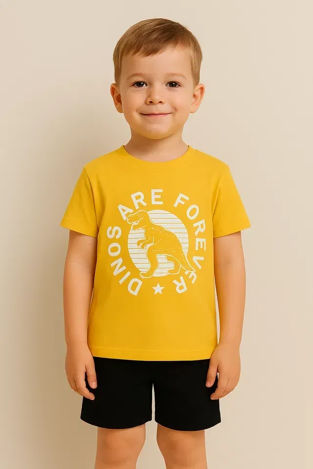 Round Neck Printed T-Shirt for Boys (Yellow, 4-6 Years)