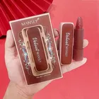 Matte Long Stay Lipsticks for Women Lipsticks 