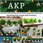 Artificial Plants with Pot 