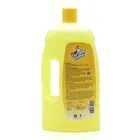 Captain Shine Disinfectant Floor Cleaner 1 L 