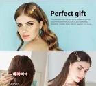 ABS Plastic Hair Clips for Women 