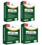 Park Daniel Neck Pain Relief 10 Pcs Heat Patches 