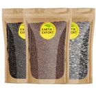 Kartik Export Combo of Ram Tulsi Beej | Van Tulsi | Krishna Tulsi Seeds [ 50 Grams Each ]