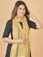 Net Self Design Women Dupatta (Beige)