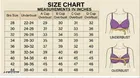 Pack of 3 Soft Padded Bras for Women 