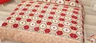 Polycotton Double Bedsheet with 2 Pillow Cover 