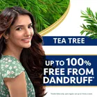 Himalaya Anti Dandruff Shampoo, 180 ml