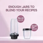 Longway Sage Juicer Mixer Grinder 