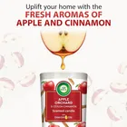 Air wick Apple Orchard & Ceylon Cinnamon Aroma Fragrance 185 g