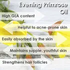 Park Daniel Evening Primrose Oil 