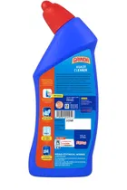 गैंडा टॉइलेट क्लीनर 250 ml