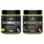 Natural Amla & Curry Leaf Powder for Skin & Hair 