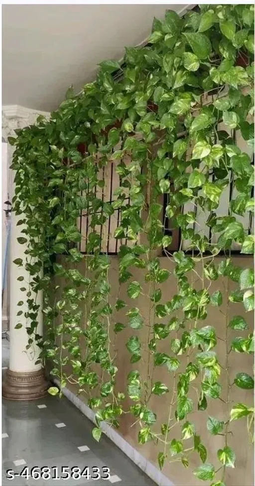 Plastic Artificial Garlands Plant for Home Decor for Women (Green, Set of 3)