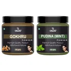 Natural Gokhru & Pudina Powder for Skin & Hair 