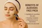 Aloe Vera Face Pack With Gulab Jal & Applying Brush Pack Of 3