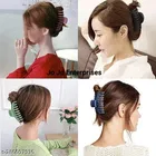 Plastic Hair Clutcher for Women & Girls 