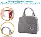 Insulated Tiffin & Lunch Bag, Pink & Blue Combo Set of 2