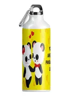 Printed Aluminium Cartoon Sipper Water Bottle for Kids 
