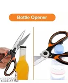 Stainless Steel Scissor 