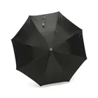 CITIZEN Black Nylon Umbrella 2 Fold Auto Open & Close Premium Umbrella for Travel 