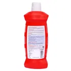 नोवा क्लीन फ्लोरल बाथरूम क्लीनर 1L