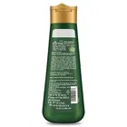 केश किंग स्कैल्प एंड हेयर मेडिसिन एंटी हेयरफॉल शैम्पू 200 ml