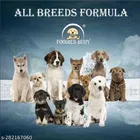 Plastic Flea Brush for Pet 