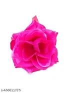 Plastic Artificial Flower 