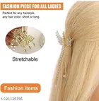 Plastic Hair Clutcher for Women & Girls 