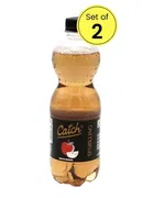 कैच स्पार्कलिंग एप्पल जूस 2X600 ml 