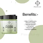 Puriflame Natural Pudina Powder for Skin 