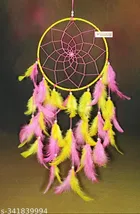 Feather Wall Hanging Dream Catcher 