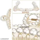 Plastic Hair Clutcher for Women & Girls 