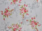Chiffon Printed Saree for Women 